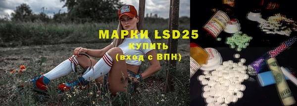 хмурый Алзамай
